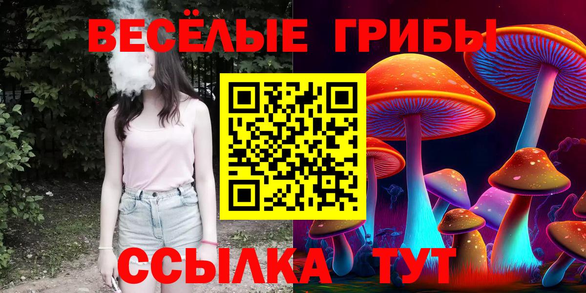 Псилоцибиновые грибы Cubensis Щёкино