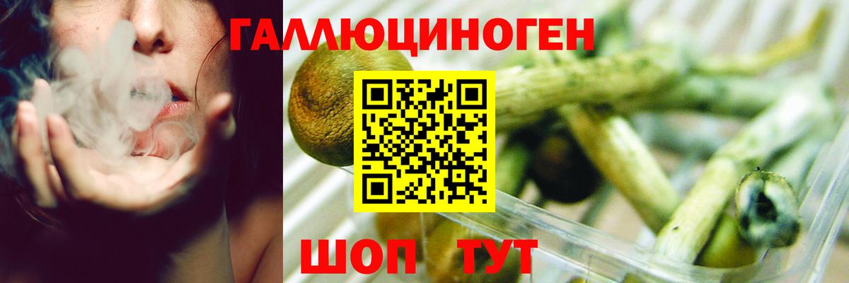 Щёкино  Псилоцибиновые грибы прущие грибы  Вход с VPN  купить наркотики сайты  Псилоцибиновые грибы MAGIC MUSHROOMS 